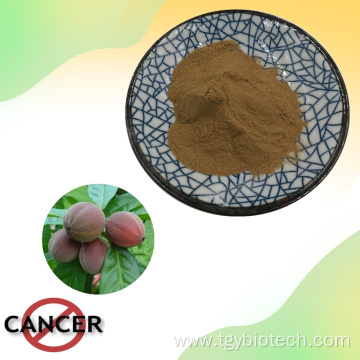 Hot Sale Natural Anti-cancer Blushwood Berry Seed Extract